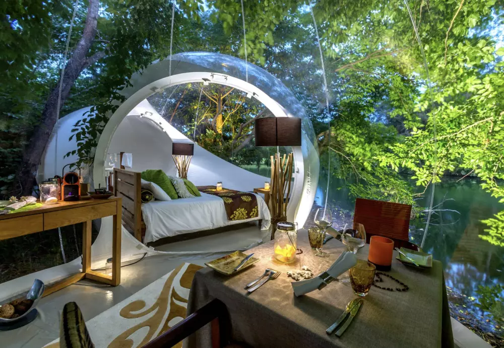 stargaze bubble tent