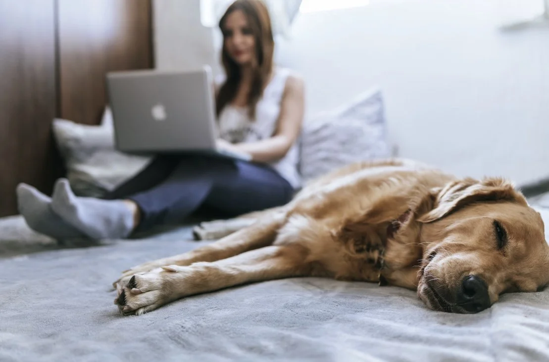 best smart bed